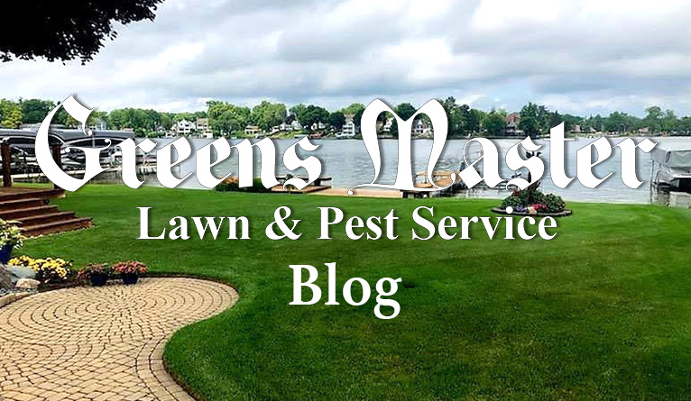 Greens Master Seeding and Care Instructions for Establishing New Grass or Fixing Bare Spots